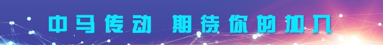中马（新版试用赠送）